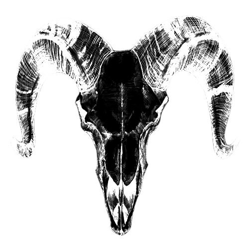 エムオロギー【CORE完全限定盤】 | メリー Official Website