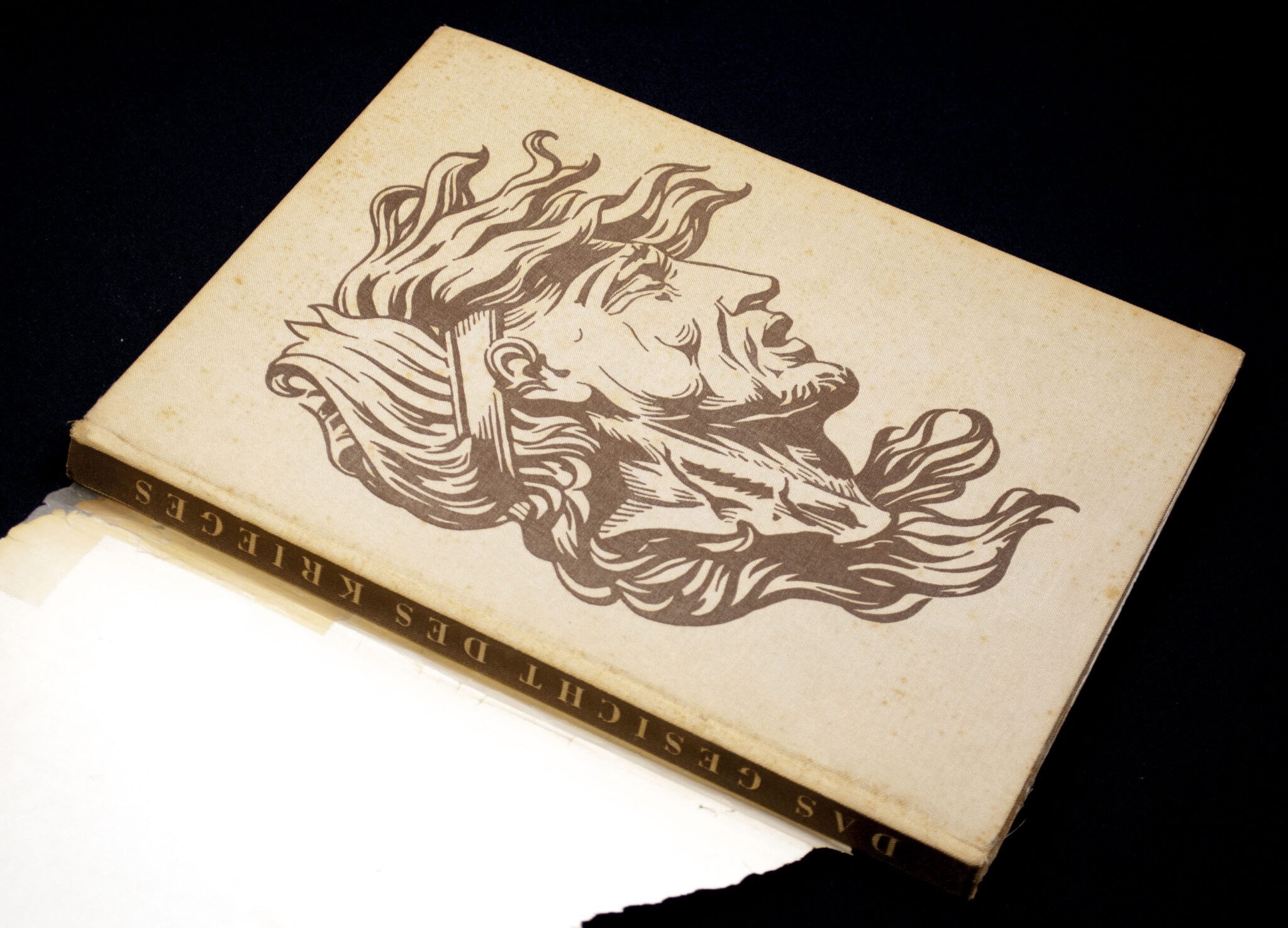 Book) Das Gesicht des Krieges (1940)