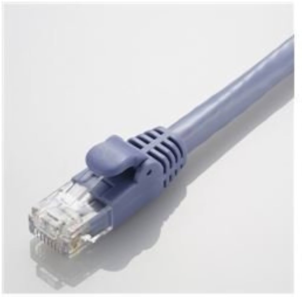 Amazon.co.jp: ELECOM（エレコム） CAT6A対応 GigabitLANケーブル 10m
