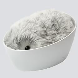 Amazon | カシオのAIペット moflin(モフリン) シルバー | ロボット