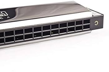 Amazon.com: Swan 24 Holes Harmonica Professional Harp Performance