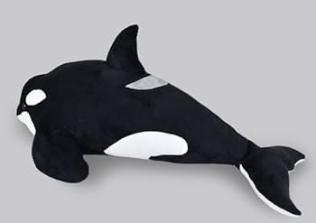 31vjVqlZreL._AC_UF350,