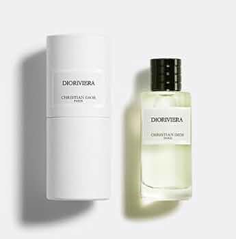 31wL+R2gxqL._AC_UF350,