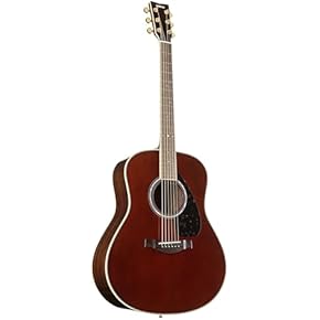 Amazon.co.jp: エレアコギター: 楽器・音響機器