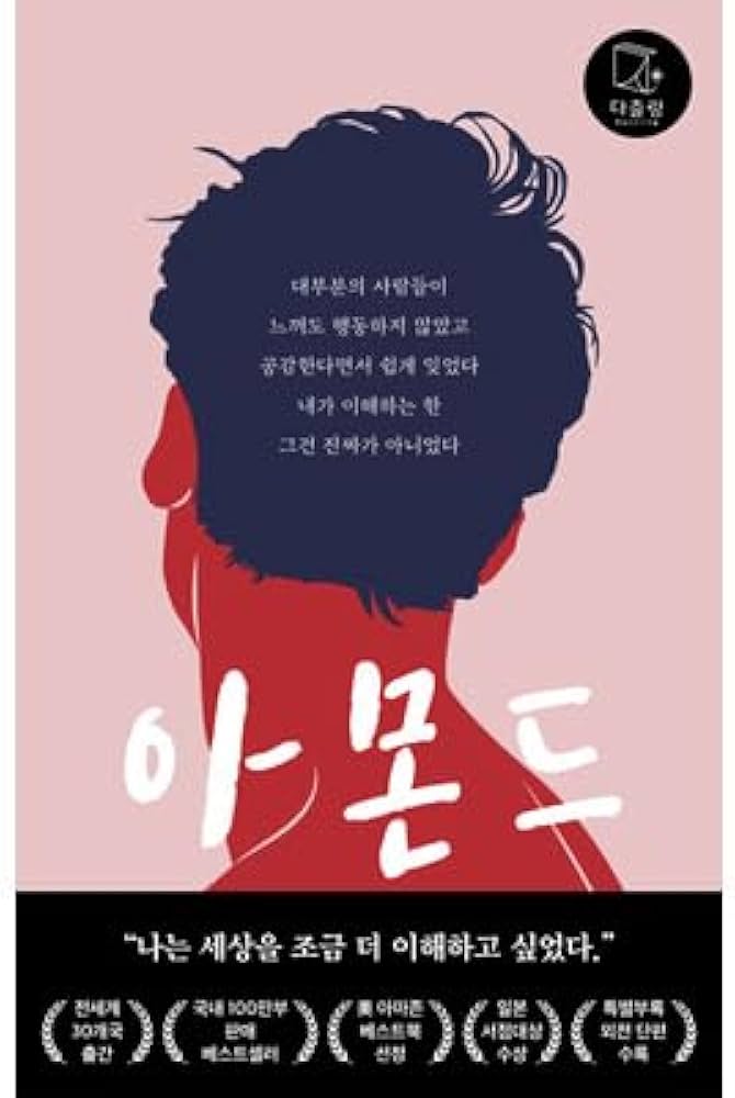 韓国版 「アーモンド」 ソン・ウォンピョン小説 [改訂版短編外伝収録