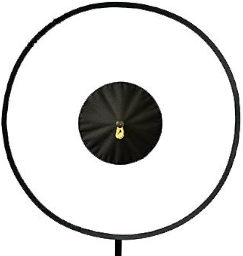 Amazon | RoundFlash Dish(ラウンドフラッシュ) クリップオンストロボ