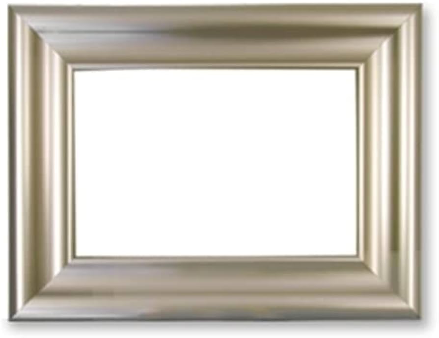 Amazon.co.jp: 額縁 仮縁 オール50 チタン F50キャンバス用 (1167