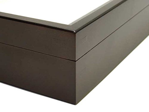 Amazon.co.jp: 大型ドイツ型標本箱（茶） : おもちゃ