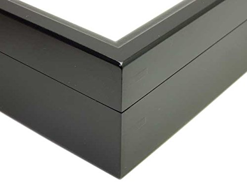 Amazon.co.jp: 【UVカット】小型ドイツ型標本箱（黒） : おもちゃ