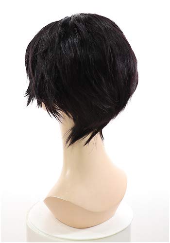 Amazon.co.jp: 刀剣乱舞 豊前江 風 ウィッグ キャラウィッグ 美容師