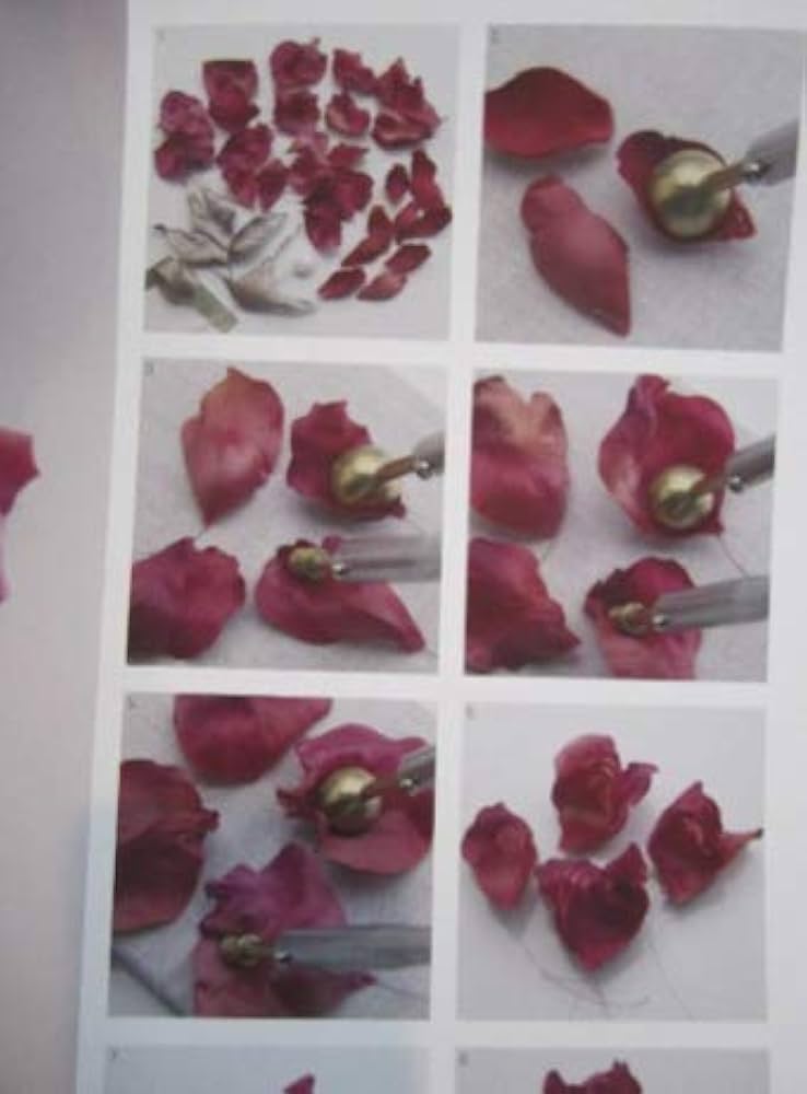 Amazon.co.jp: そめ花「Rose Dictionary 」 : 安田 早葉子: 本