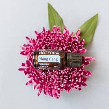Amazon.com: doTERRA Ylang Ylang Essential Oil - 15 ml : Health