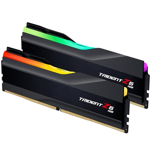 Amazon.co.jp: G.Skill (ジースキル) Trident (トライデント) Z5 RGB