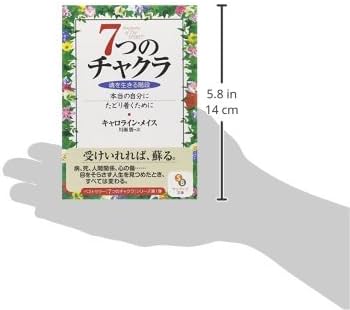 7つのチャクラ (サンマーク文庫 E- 47) | キャロライン・メイス, 川瀬
