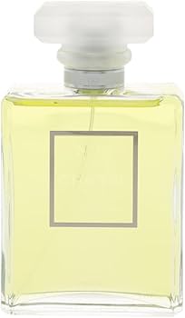 Amazon | シャネル CHANEL NO.19 プードレ 100ml EDP SP 【並行輸入品