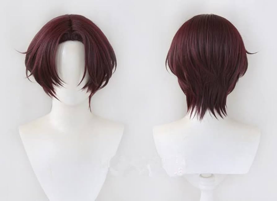 Amazon.co.jp: WIND BREAKER ウィンドブレイカー 蘇枋隼飛 コスプレ