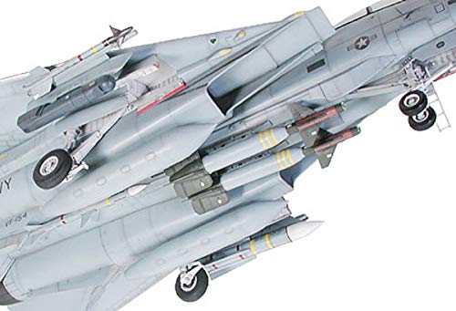 Amazon.com: Tamiya F-14A Tomcat Black Knights 1/32 Aircraft