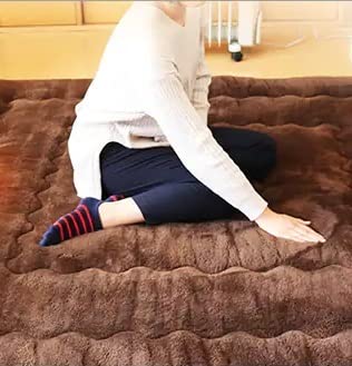 Amazon.co.jp: 21520円 未開封 モリリン あったか6層(R) ラグハイパー