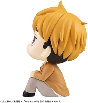 41xJ11PolqL._AC_UF350,