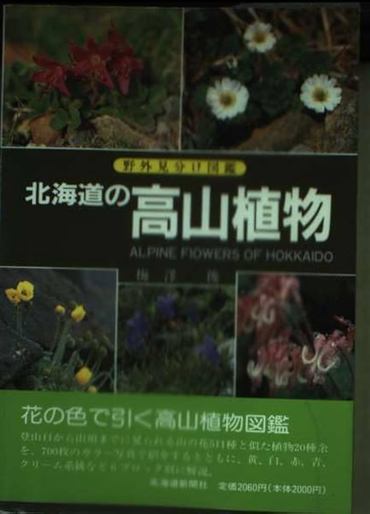 北海道の高山植物: 野外見分け図鑑 | 梅沢 俊 |本 | 通販 | Amazon