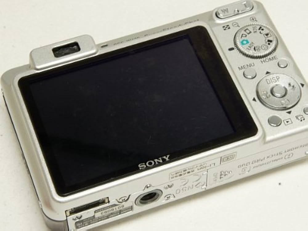 Amazon | Cyber-shot DSC-W170 シルバー SONY | コンパクト 通販