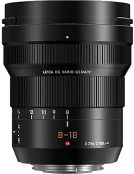Amazon.com : Panasonic Leica DG Vario-Elmarit 8-18mm f/2.8-4 ASPH