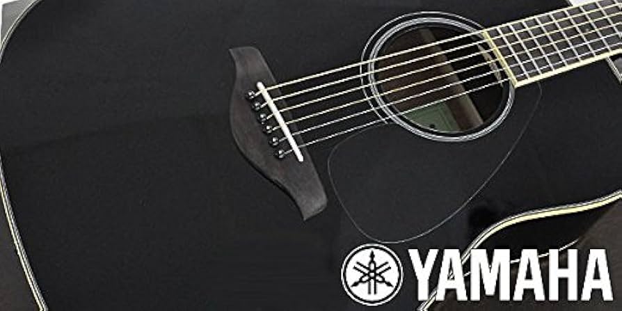 Amazon.co.jp: YAMAHA ヤマハ アコースティックギター FG820 Black