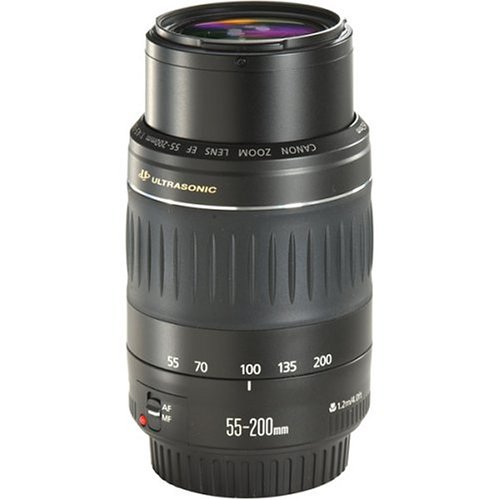 Amazon.com : Canon EF 55-200mm f/4.5-5.6 II USM Telephoto Lens for