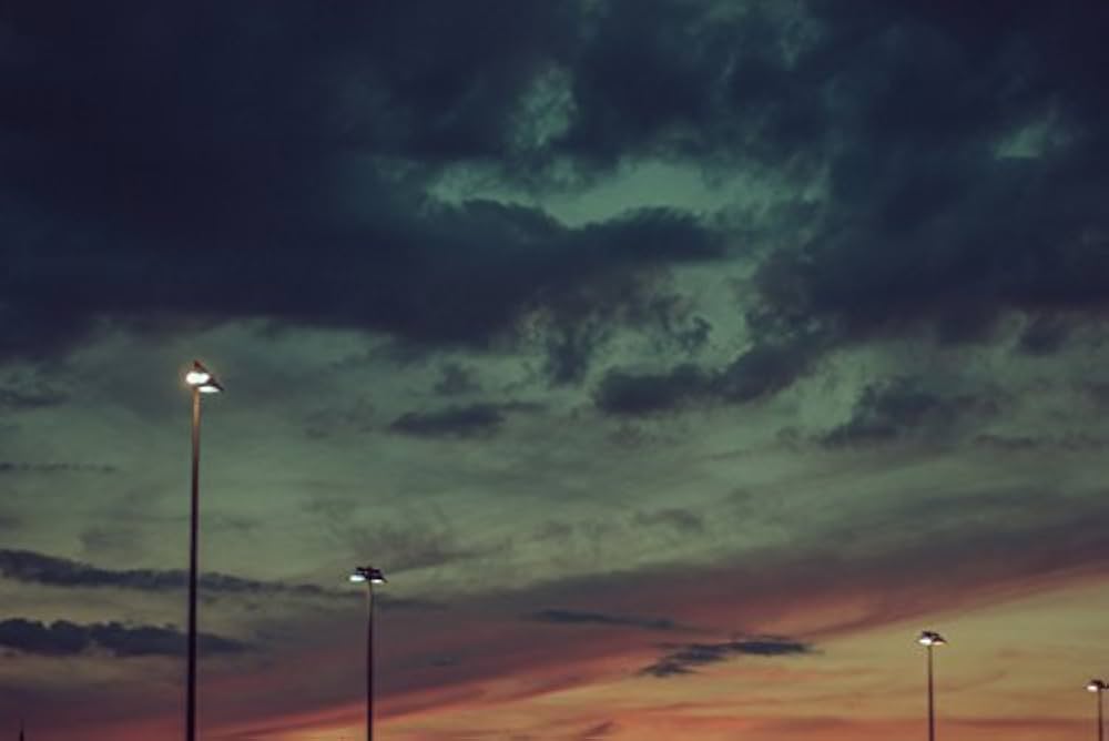 Amazon | Guys, Light, and Nature (Portfolio1000) | Moncayo | Erotica