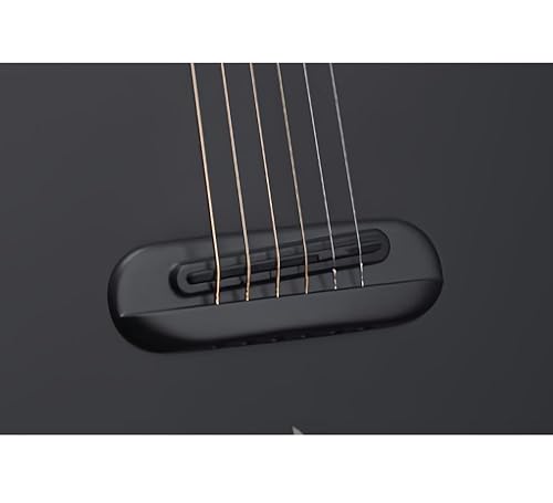 Amazon.com: LAVA ME AIR Portable Carbon Fiber Electric-Acoustic