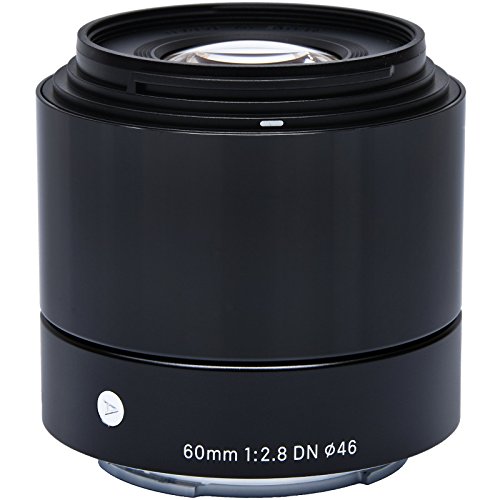 レビュー】Sigma 60mm F2.8 DN | Art は解像力抜群でコスパ最強レンズ