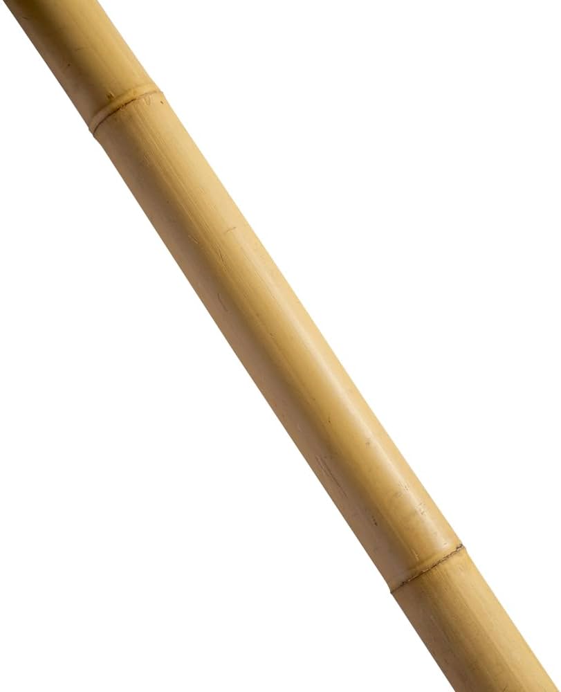 Amazon | トンキンケーン5本束 トンキン竹 トンキンバンブー バンブー