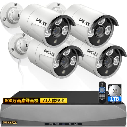 Amazon.co.jp: 【最強翌日配送・4K800万画素録画機・AI人体検知