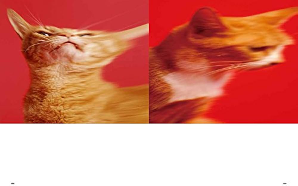 スピッツのデザイン 予約特典版 | MdN編集部 |本 | 通販 | Amazon