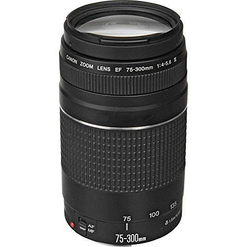 Amazon.co.jp: Canon EF 75 – 300 mm f / 4 – 5.6 III望遠ズームレンズ
