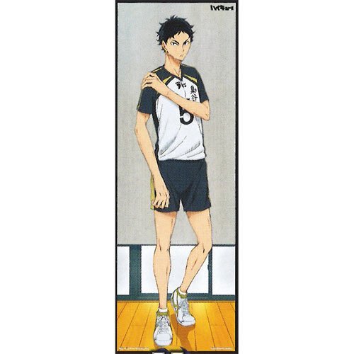 Amazon.co.jp: 一番くじ ハイキュー!! 繋げ!!全国への軌跡!! H賞 赤葦