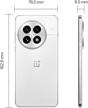 OnePlus 13, 5G Dual Sim, Global Version (Arctic Dawn, 16GB+512GB