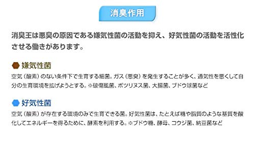Amazon.co.jp: 消臭王GT-S 液体 無臭 10リットル 嫌な臭いを分解消臭