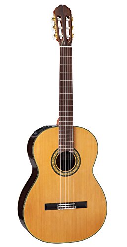 タカミネ Takamine エレガット」の人気商品一覧 | 安い商品を通販