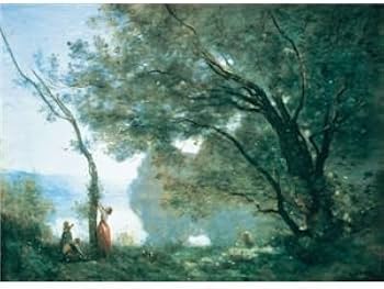 41TVIJ+b1tL._AC_UF350,