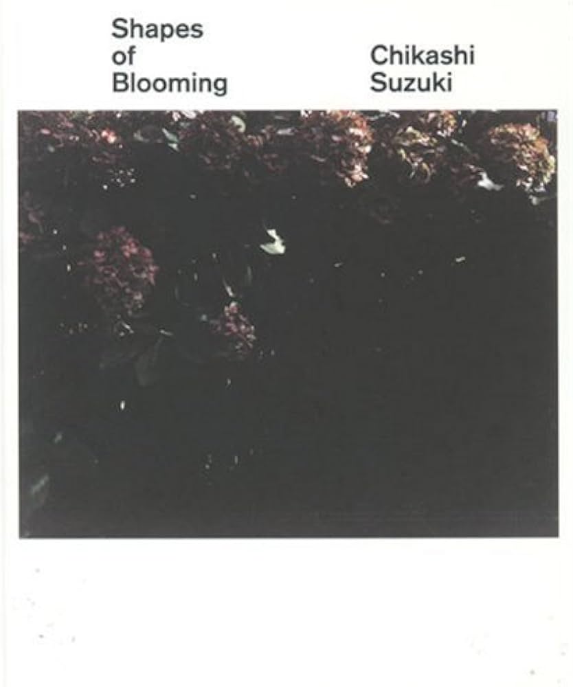 Amazon.co.jp: Shapes of blooming : 鈴木 親: 本