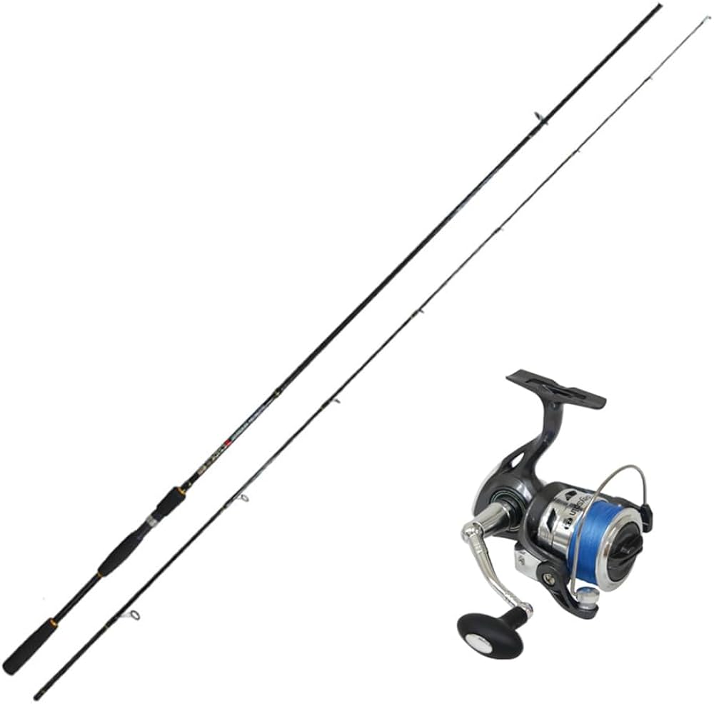 Amazon | シーバスセット DESIDE SP8F＆Bayspin ZX 3000 (seabassset