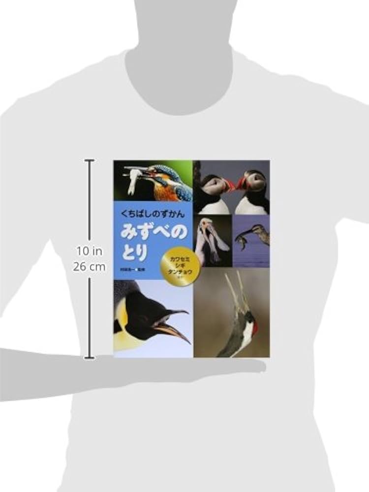 みずべのとり: カワセミ・シギ・タンチョウほか (くちばしのずかん