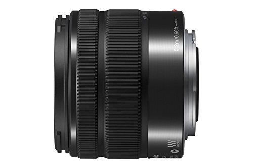 Amazon.com : Panasonic LUMIX G Vario 14-42mm / F3.5-5.6 II ASPH