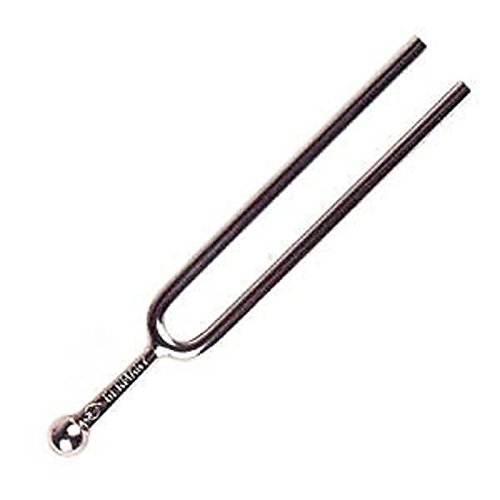Amazon.co.jp: Wittner ウィットナー 音叉 No.921 tuning fork (A