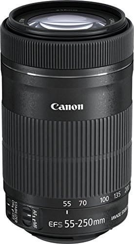 Amazon.co.jp: Canon レンズ EF-S55-250mm F4-5.6 IS STM : 家電＆カメラ
