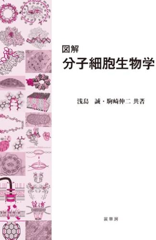 Amazon.co.jp: 図解 分子細胞生物学 : 浅島 誠, 駒崎 伸二: Japanese Books