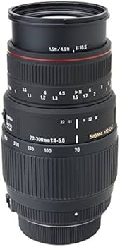 Amazon.co.jp: SIGMA 望遠ズームレンズ APO 70-300mm F4-5.6 DG MACRO