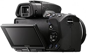 Amazon.com : Sony a55 DSLR Camera with 18-55mm zoom lens : Slr