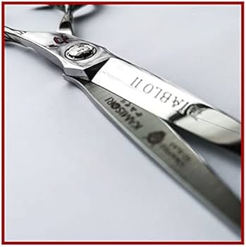 41gprFw5xOL._AC_UF350,